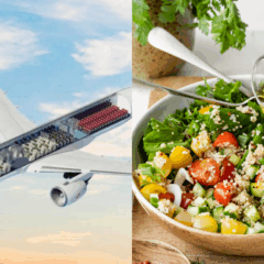 Foto: divulgação/freepik