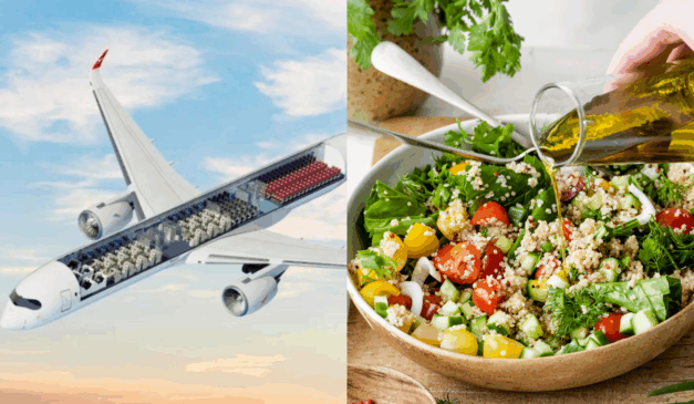 Foto: divulgação/freepik