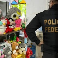 pornografia infantil polícia federal