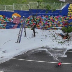 Carreta tomba na Avenida Vitória (Foto: Thiago Soares)