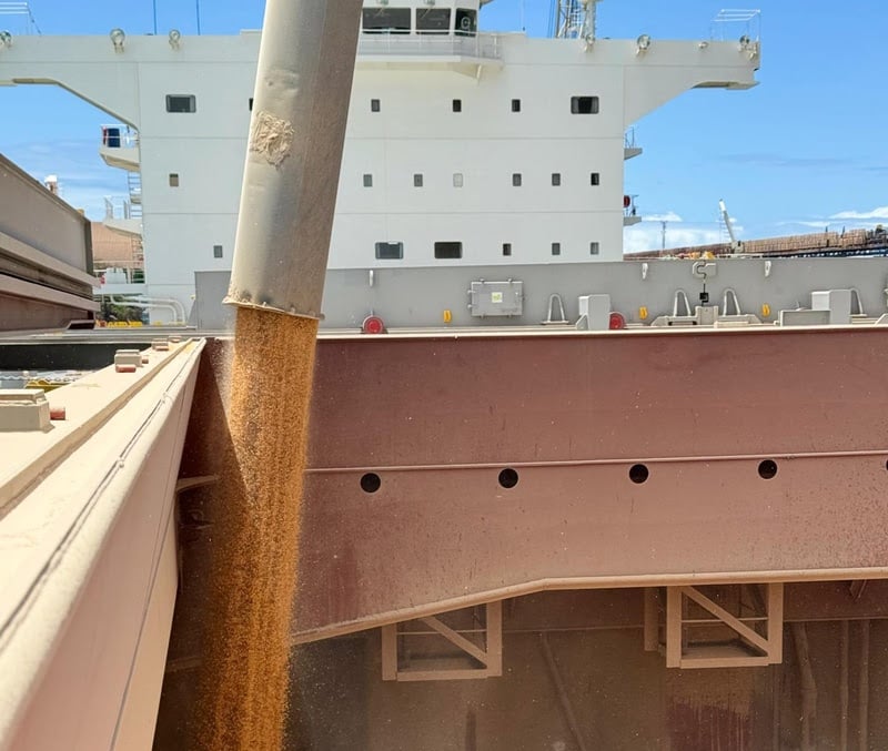 VLI inaugura nova rota de exportação e realiza primeiro embarque de milho à China pelo Espírito Santo