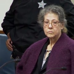 Quem é Susan Lorincz, assassina de AJ Owens cuja história é relatada em "A Vizinha Perfeita" (Foto: Netflix/Divulgação)