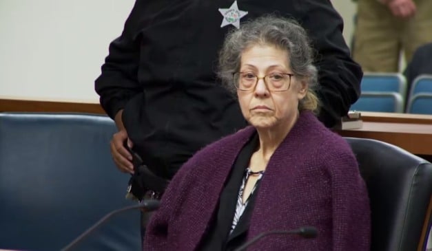 Quem é Susan Lorincz, assassina de AJ Owens cuja história é relatada em "A Vizinha Perfeita" (Foto: Netflix/Divulgação)