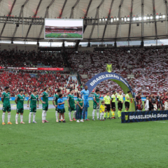 O time da SE Palmeiras, em jogo contra a equipe do CR Flamengo, durante partida válida pela vigésima nona rodada, do Campeonato Brasileiro, Série A, no Estádio do Maracanã. (Foto: Cesar Greco/Palmeiras/by Canon)