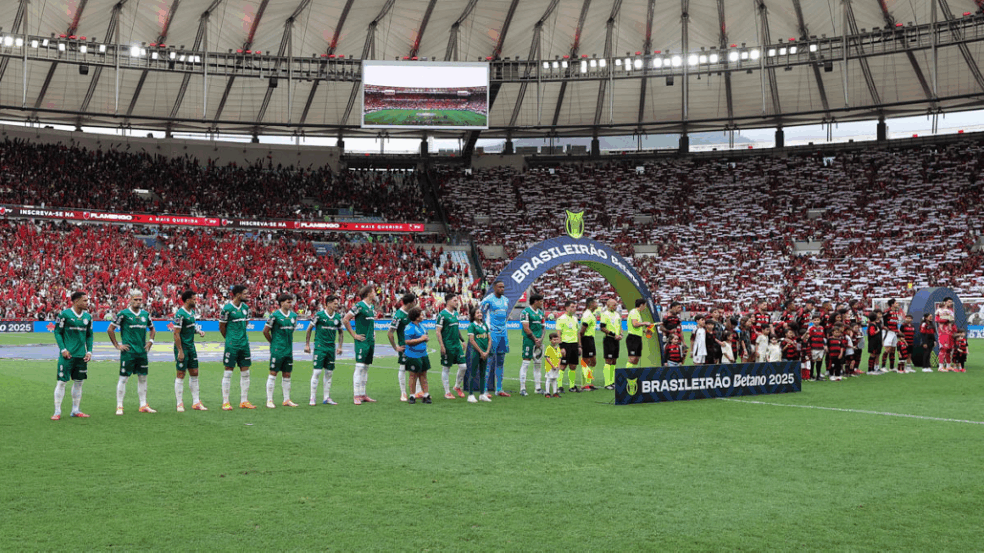 O time da SE Palmeiras, em jogo contra a equipe do CR Flamengo, durante partida válida pela vigésima nona rodada, do Campeonato Brasileiro, Série A, no Estádio do Maracanã. (Foto: Cesar Greco/Palmeiras/by Canon)