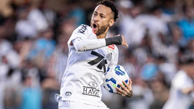 BRASILEIRÃO - Santos x Fortaleza - Estádio Vila Belmiro (01/11/2025) - Fotos: Raul Baretta/ Santos FC