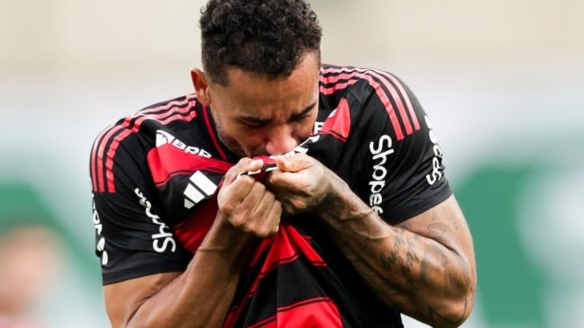 PALMEIRAS X FLAMENGO - COPA LIBERTADORES. ESTADIO MONUMENTAL - 29-11-2025-44 FOTOS GILVAN DE SOUZA/FLAMENGO