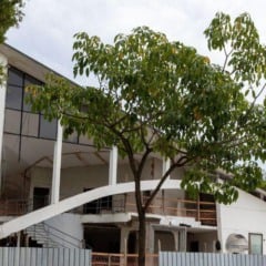 Foto: Divulgação/Prefeitura de Vila Velha