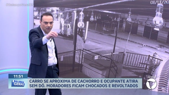 Criminosos atiram em cachorro em Paraju e geram revolta