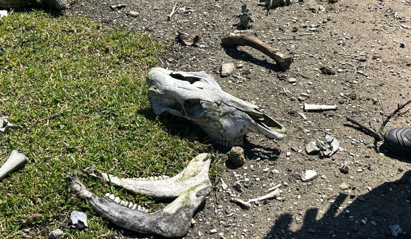 Foto: Divulgação/Sesp Foto: Divulgação/Sesp