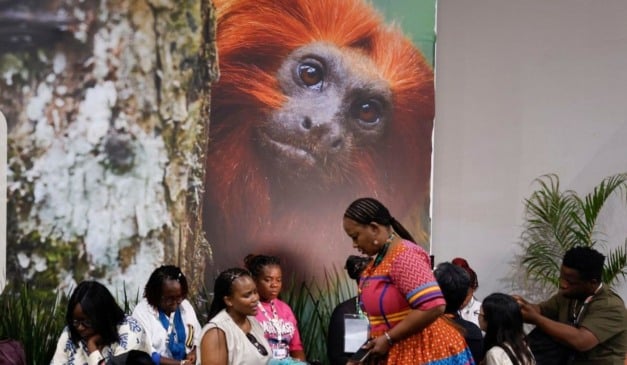 Foto: Tânia Rêgo/Agência Brasil