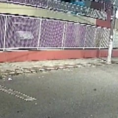 Cadela Pretinha põe bandidos para correr na Serra