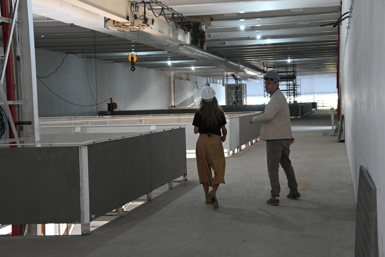 Cais das artes especial coluna Arte Mais