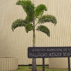 Foto: Divulgação/Câmara Municipal de Vitória