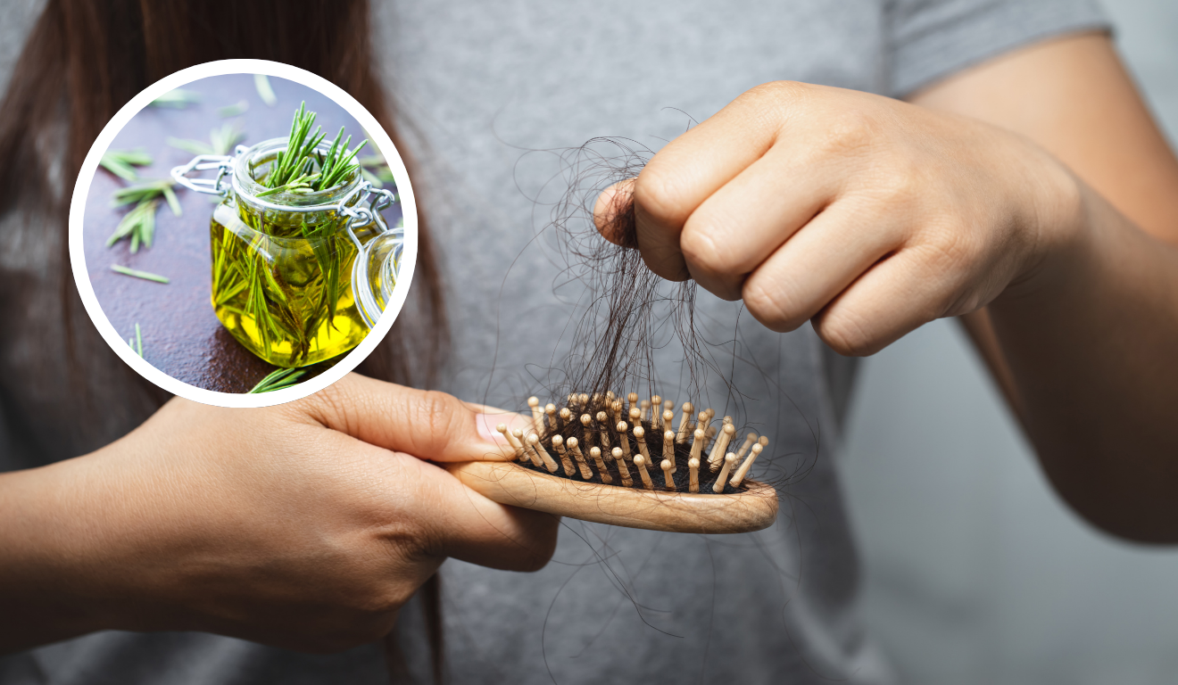 O óleo de alecrim pode ser a solução natural para fortalecer os fios e combater a queda de cabelo O óleo de alecrim pode ser a solução natural para fortalecer os fios e combater a queda de cabelo