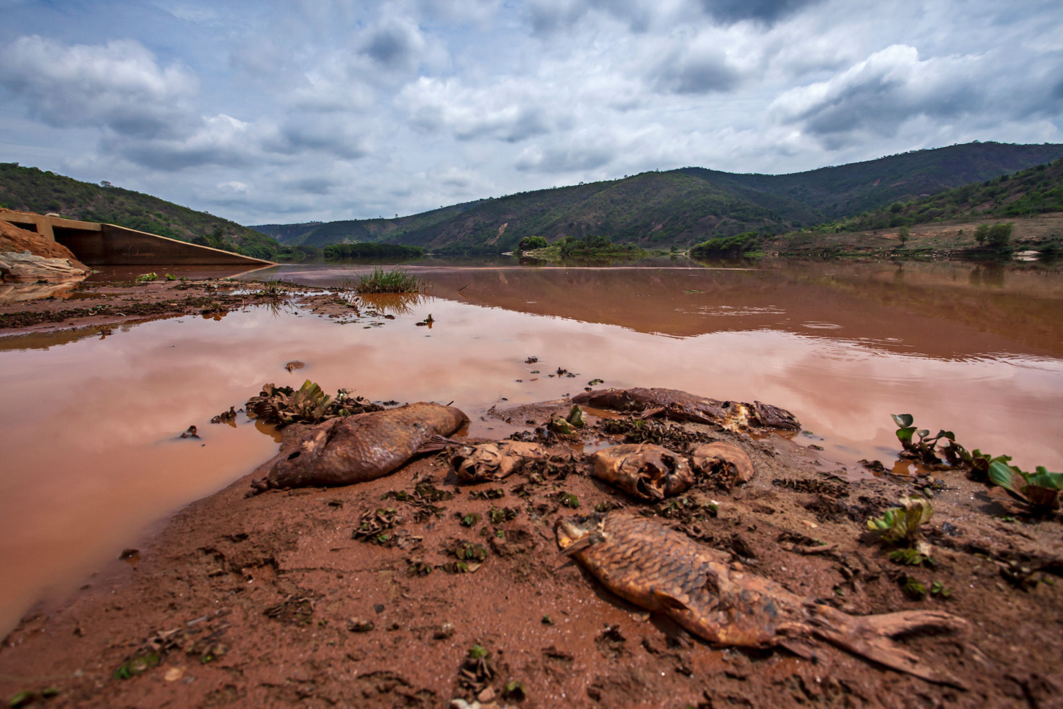 Desastre do Rio Doce, proveniente do rompimento da represa da Samarco em Minas Gerais! O Rio Doce vai de Minas Gerais ao Espírito Santo.