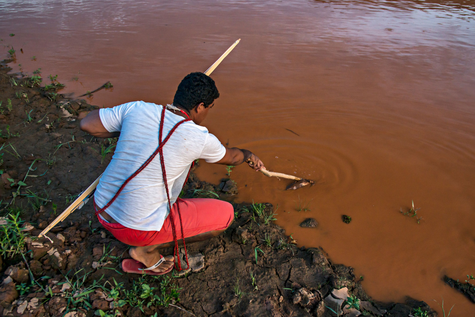 Desastre do Rio Doce, proveniente do rompimento da represa da Samarco em Minas Gerais! O Rio Doce vai de Minas Gerais ao Espírito Santo.