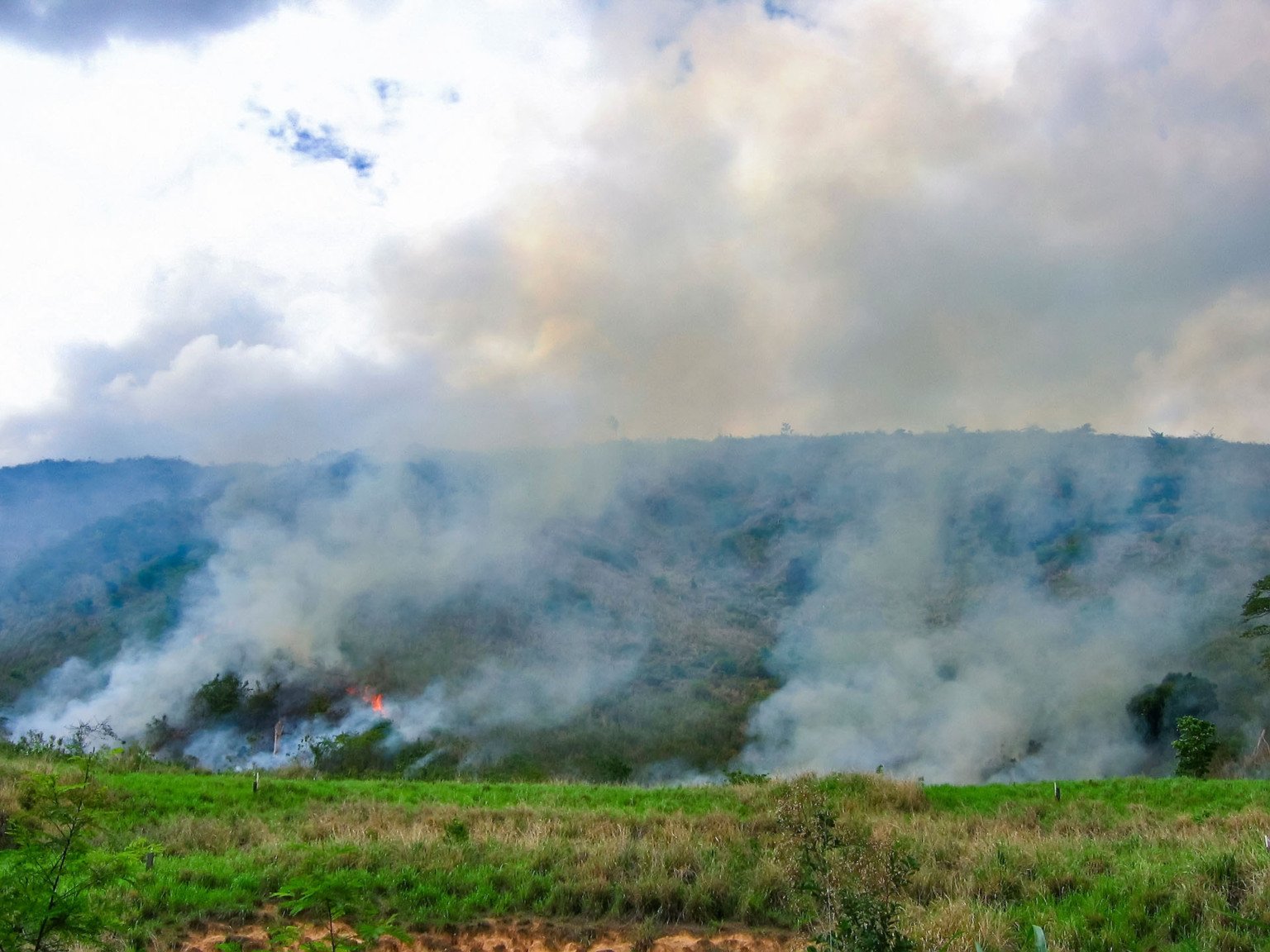 "Incêndio (Paisagem) fotografado em Baixo Guandú, Espírito Santo -  Sudeste do Brasil. Bioma Mata Atlântica. Registro feito em 2006.

ENGLISH: Fire photographed  in Baixo Guandú, Espírito Santo - Southeast of Brazil. Atlantic Forest Biome. Picture made in 2006."