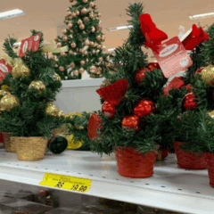 Foto: Divulgação/ Procon-MT