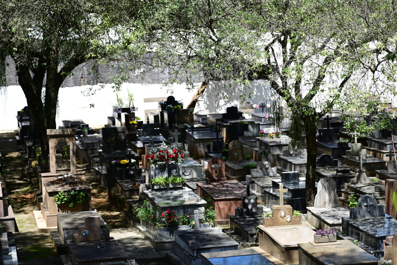 Dia de finados Cemitério Santo Antônio Dia de finados Cemitério Santo Antônio