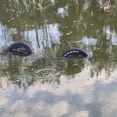 Bicicleta encontrada dentro de valão (Prefeitura de Vila Velha)