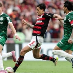 Pedro, Flamengo x Palmeiras Brasileirão 2025
