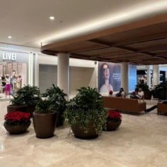 Foto: Vanessa Cardoso