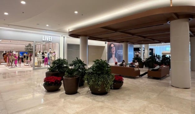 Foto: Vanessa Cardoso