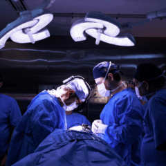 Crédito foto: Nathalie Pauli