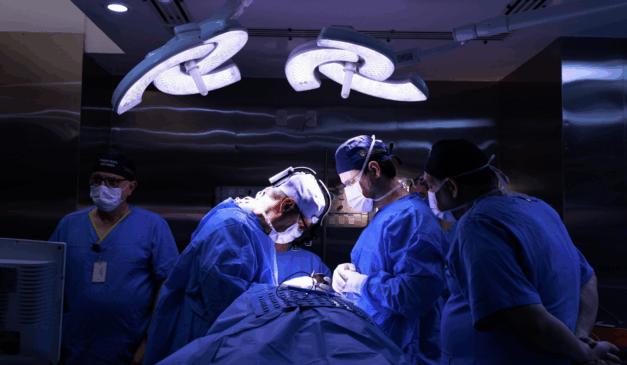 Crédito foto: Nathalie Pauli