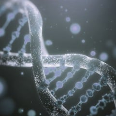 Genes e epigenética