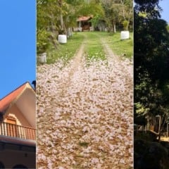 Imagem: Reprodução @pousada_olhosdagua/@rancho_mamoeiro/@cachoeira_doaloisiocosta