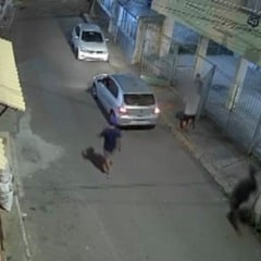 Reprodução/Videomonitoramento