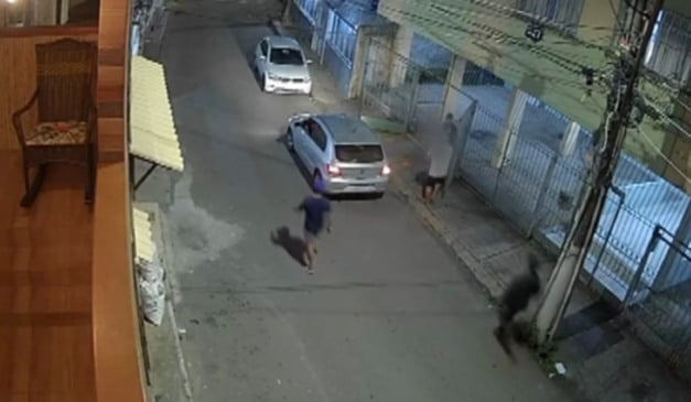 Reprodução/Videomonitoramento