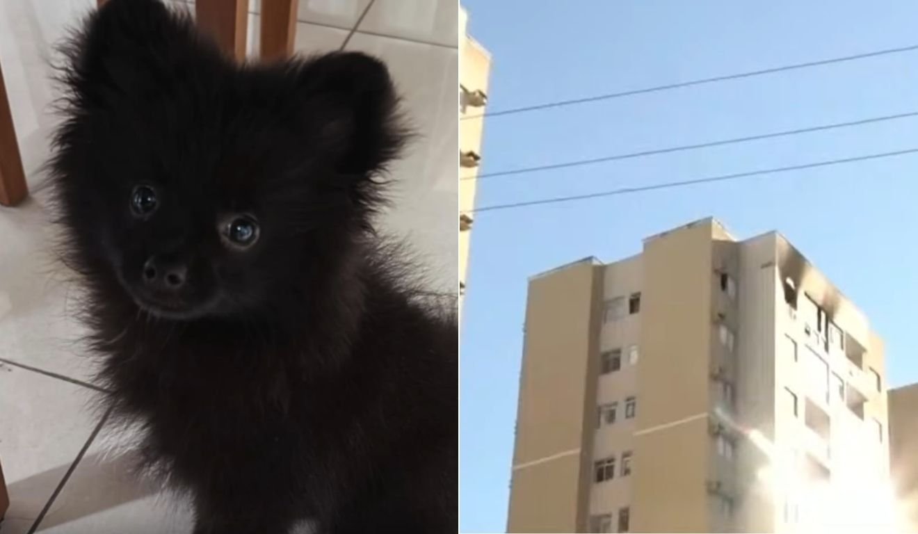 Incêndio em Apto de Vila Velha Incêndio em Apto de Vila Velha