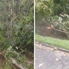 Reprodução/Leitor Folha Vitória