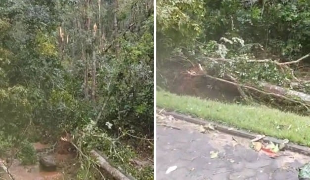 Reprodução/Leitor Folha Vitória