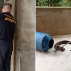 Foto: Divulgação/Prefeitura da Serra