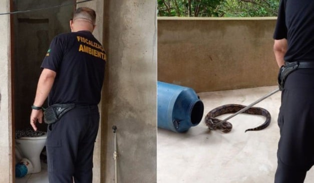 Foto: Divulgação/Prefeitura da Serra