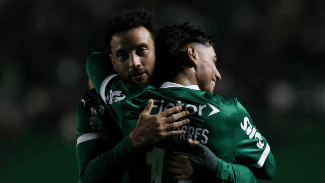 SE Palmeiras contra a equipe do EC Juventude, durante partida válida pela trigésima primeira rodada, do Campeonato Brasileiro, Série A, no Estádio Alfredo Jaconi. (Foto: Cesar Greco/Palmeiras/by Canon)
