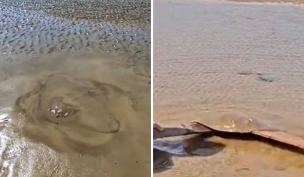 Foto: Reprodução/Redes sociais