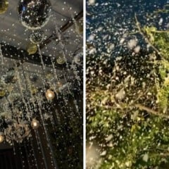 Foto: Folha Vitória