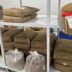 Foto: Divulgação/Sesp