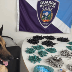 Foto: Reprodução/GMC