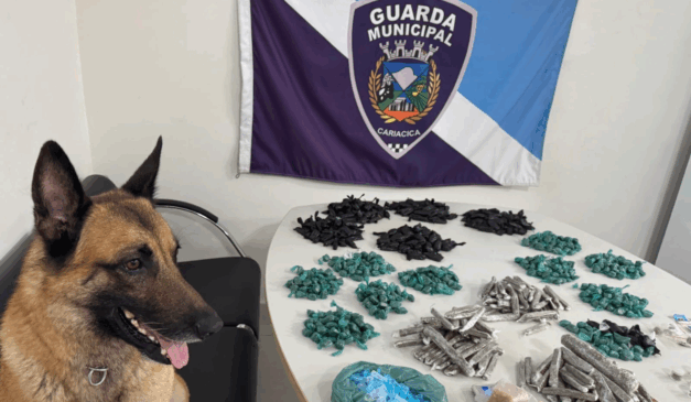 Foto: Reprodução/GMC