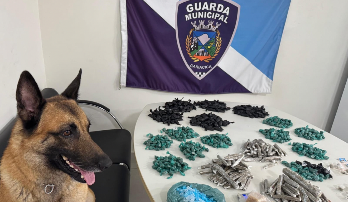 Foto: Reprodução/GMC