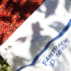 Caf&eacute; capixaba para o mundo: novo porto pode melhorar venda do produto do Esp&iacute;rito Santo. Cr&eacute;dito: Divulga&ccedil;&atilde;o