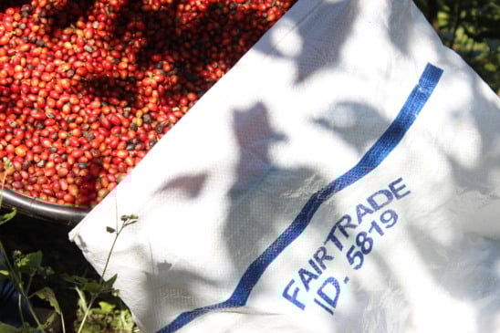 Café capixaba para o mundo: novo porto pode melhorar venda do produto do Espírito Santo. Crédito: Divulgação