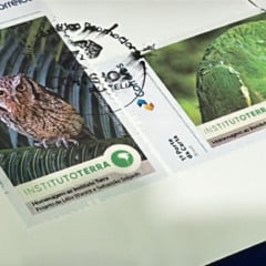 Selo dos Correios que homenageia o Sebastião Salgado e o Instituto Terra é lançado na COP 30