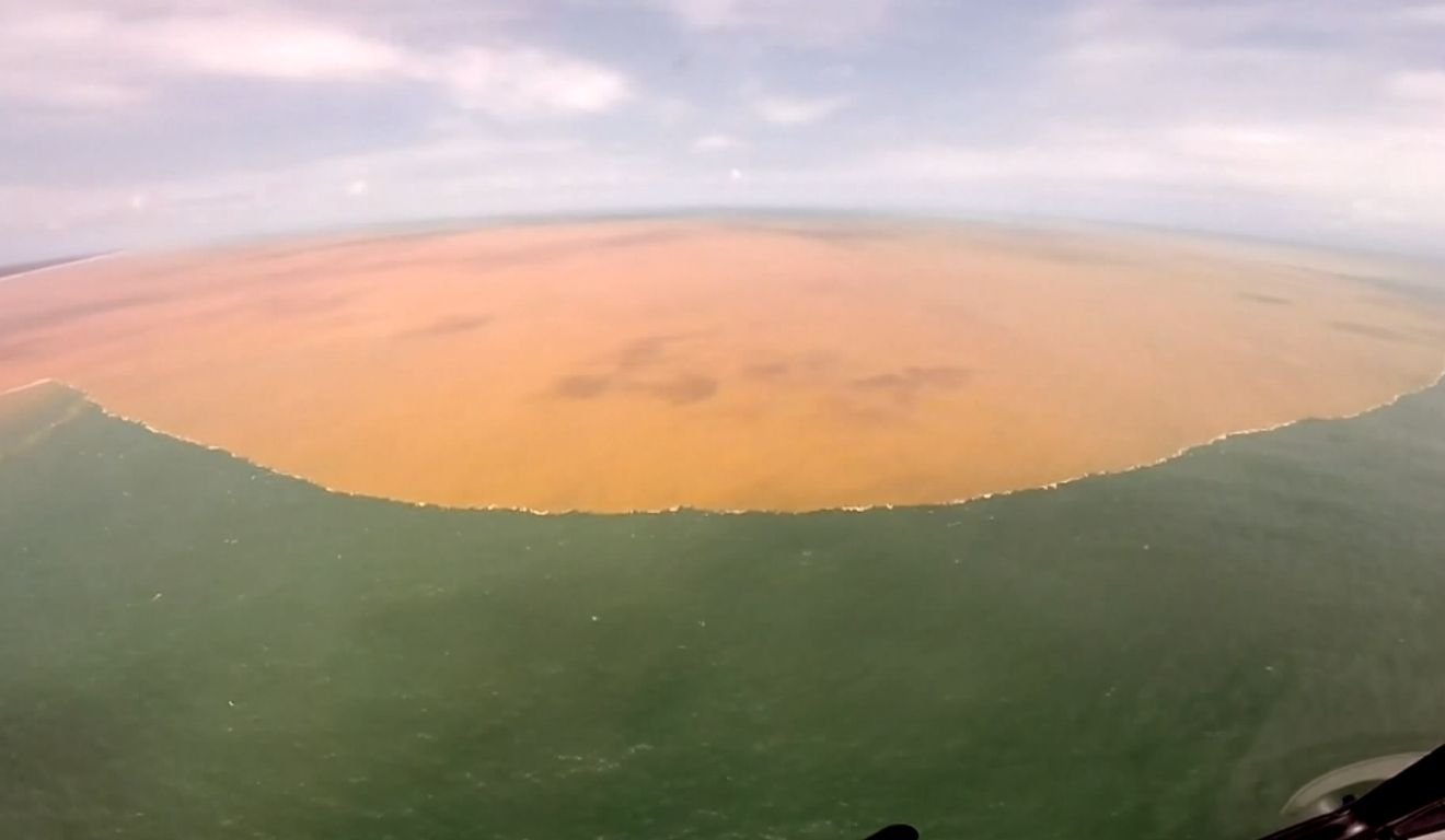 Foto: Reprodução/Tv Vitória Foto: Reprodução/Tv Vitória